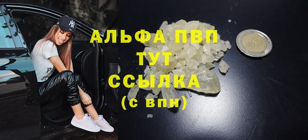 PSILOCYBIN Балабаново
