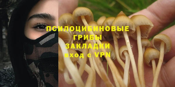дживик Балахна