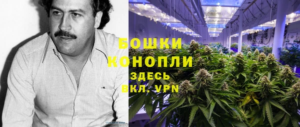 PSILOCYBIN Балабаново