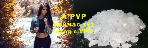 PSILOCYBIN Балабаново