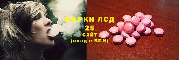PSILOCYBIN Балабаново