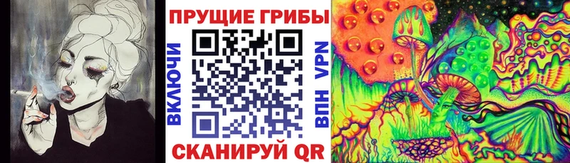 Псилоцибиновые грибы Psilocybe Городец