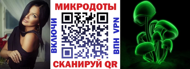 OMG ссылка хочу наркоту Городец Псилоцибиновые грибы Psilocybe