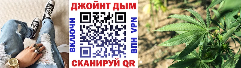 дарнет шоп  Городец  Конопля конопля 